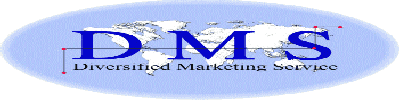 dms software online